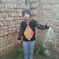 Green Seekers Activity